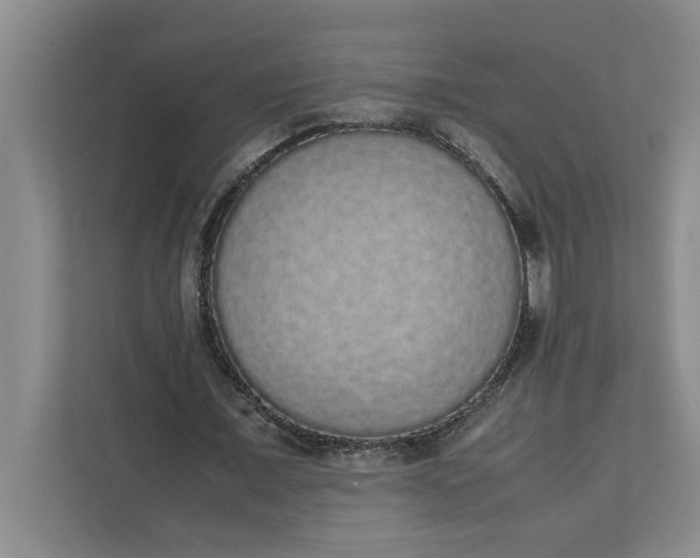 X0000111880675200908061314