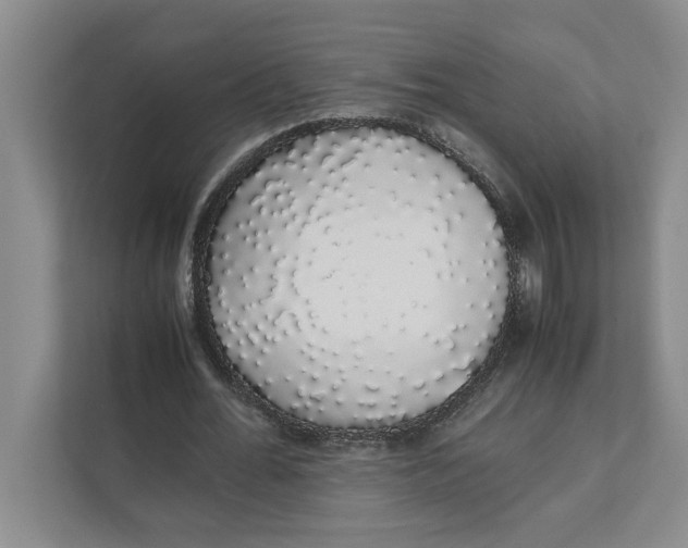 X0000111880676200908061314