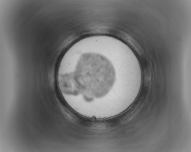 X0000111880677200908061314