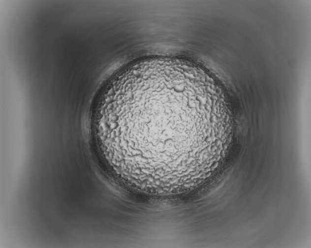 X0000111880679200908061314