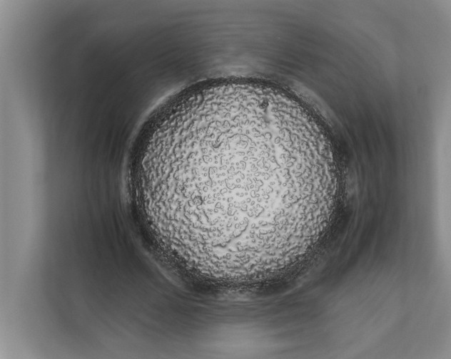 X0000111880680200908061314