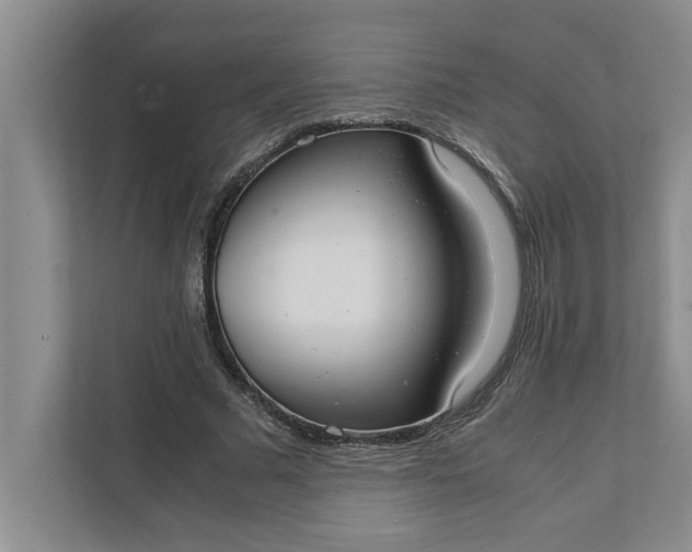 X0000111880681200908061314