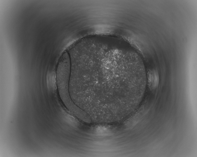 X0000111880684200908061314