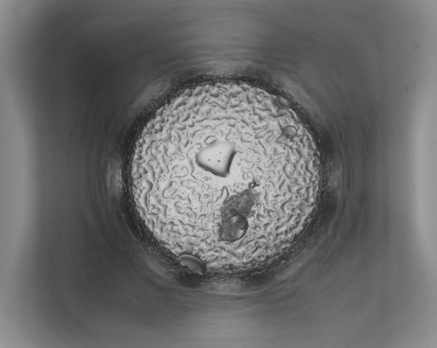 X0000111880685200908061314