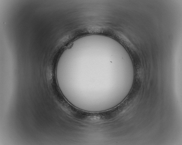 X0000111880687200908061314