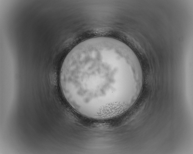 X0000111880689200908061314