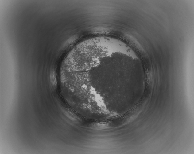 X0000111880692200908061314