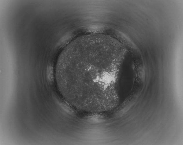 X0000111880696200908061314