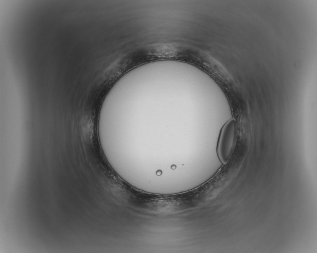 X0000111880697200908061314