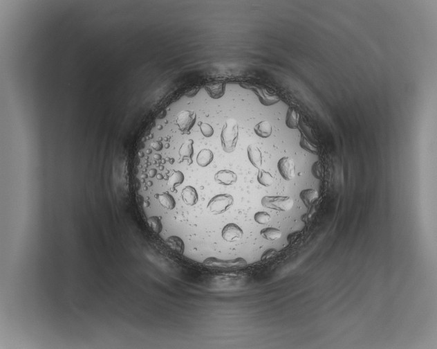 X0000111880700200908061314