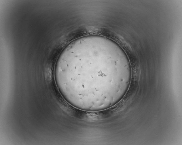 X0000111880703200908061314