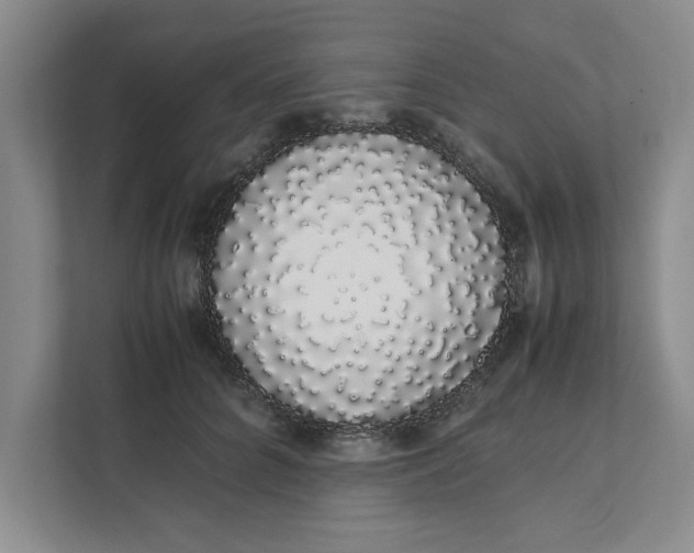 X0000111880704200908061314