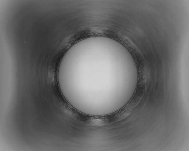 X0000111880706200908061314