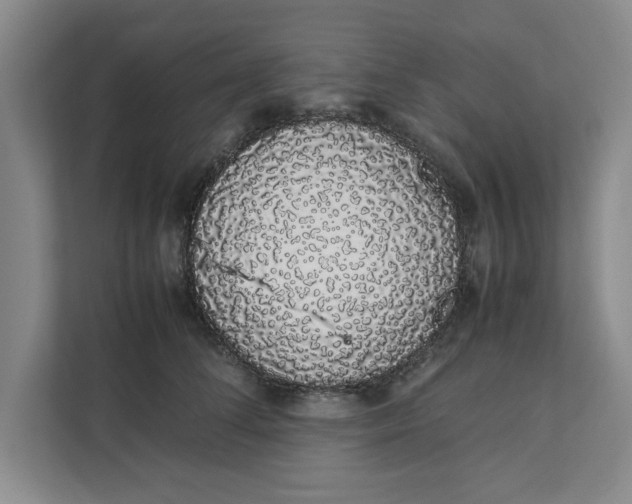 X0000111880708200908061314