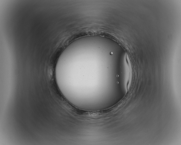 X0000111880709200908061314