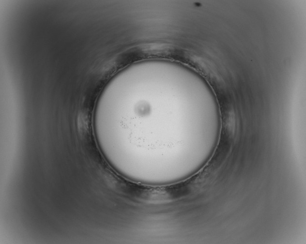 X0000111880715200908061314