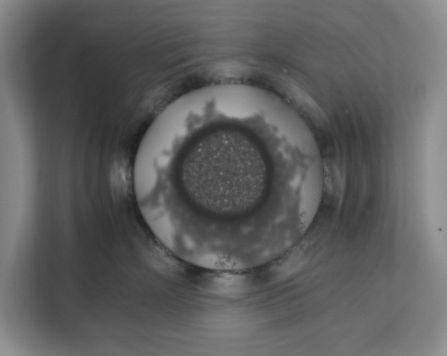 X0000111880718200908061314