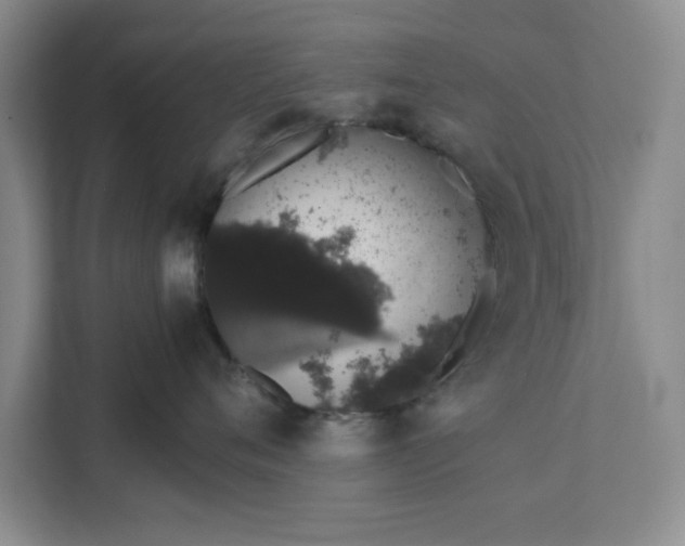 X0000111880720200908061314