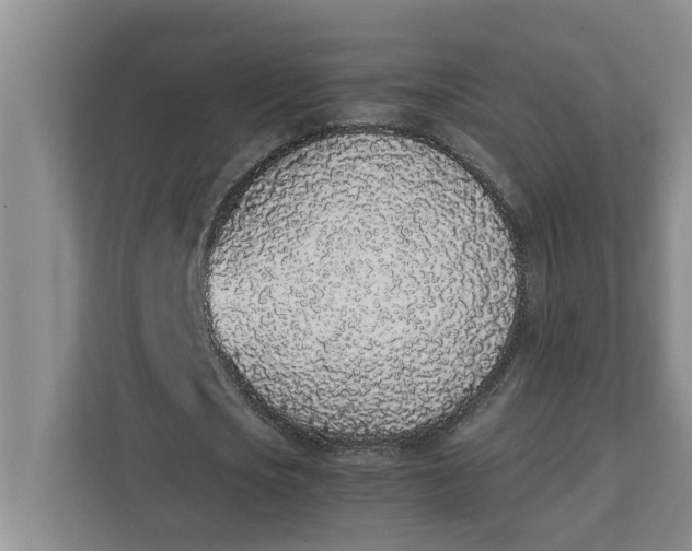 X0000111880721200908061313