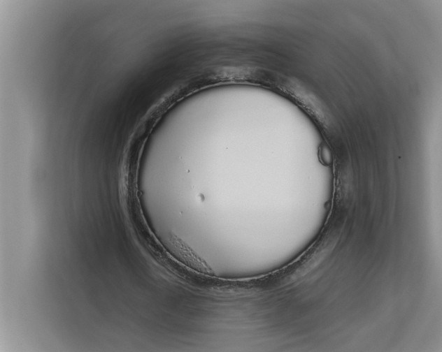 X0000111880722200908061313