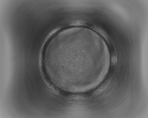 X0000111880724200908061313