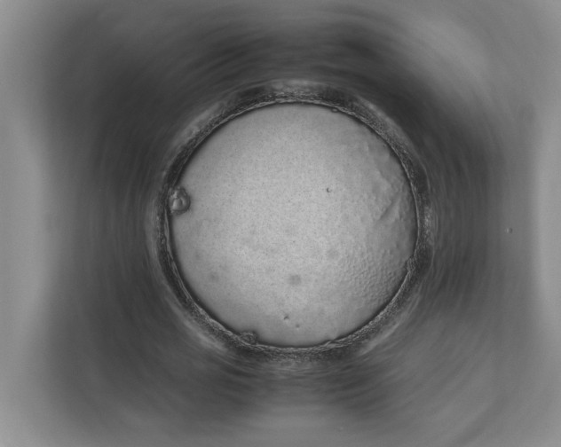 X0000111880725200908061313