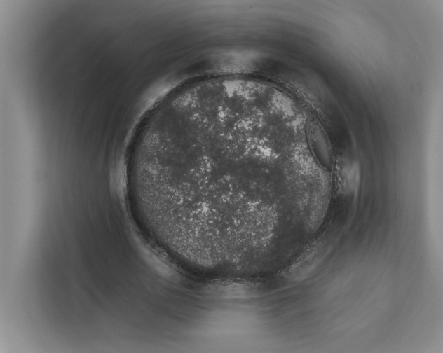 X0000111880726200908061313