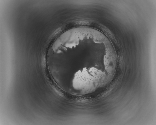 X0000111880729200908061313