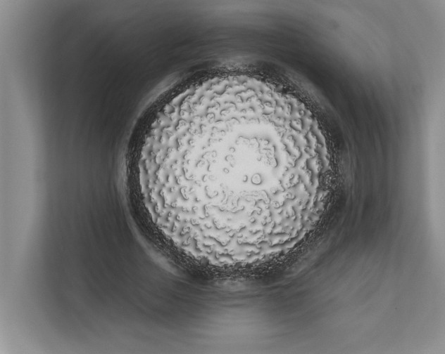 X0000111880730200908061313