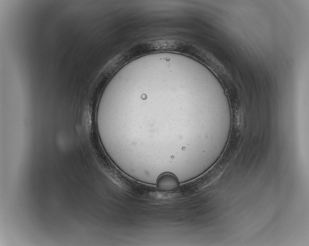 X0000111880733200908061313