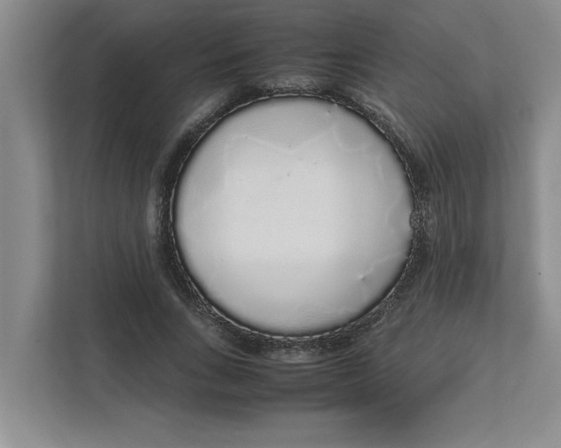 X0000111880735200908061313