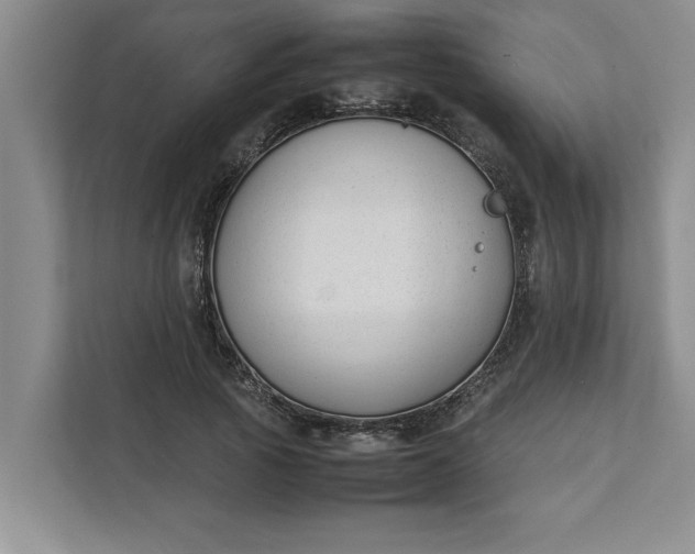 X0000111880737200908061313