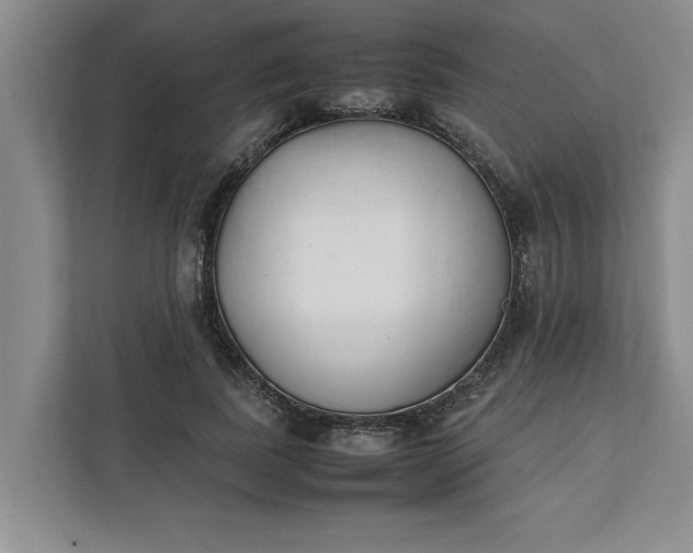 X0000111880739200908061313