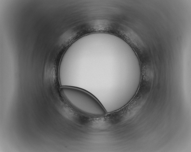 X0000111880740200908061313