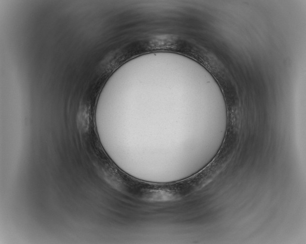 X0000111880741200908061313