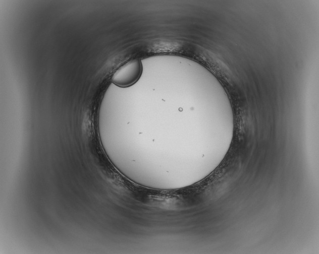 X0000111880743200908061313