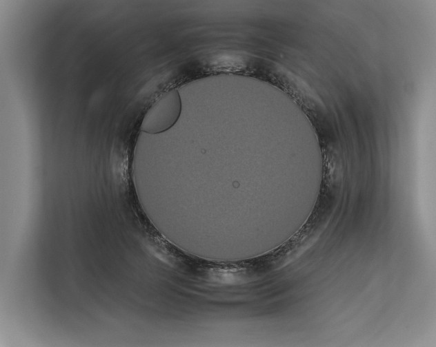 X0000111880745200908061313