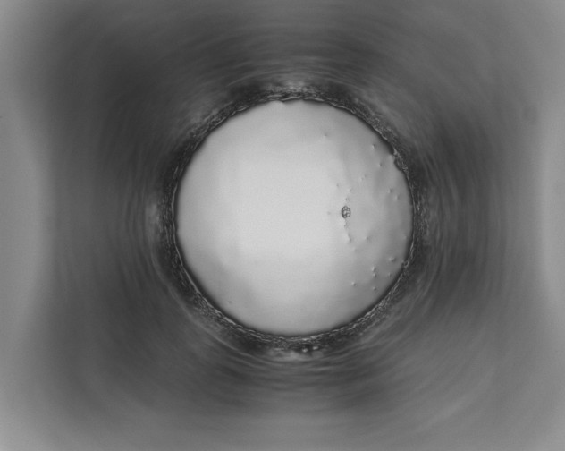 X0000111880747200908061313