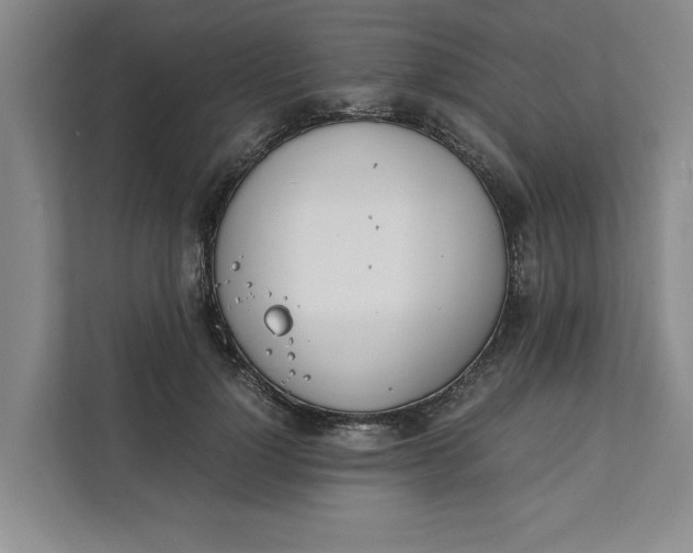 X0000111880748200908061313