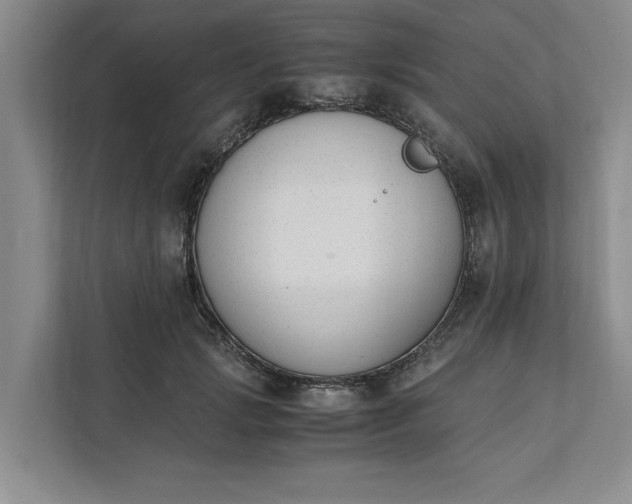 X0000111880749200908061313