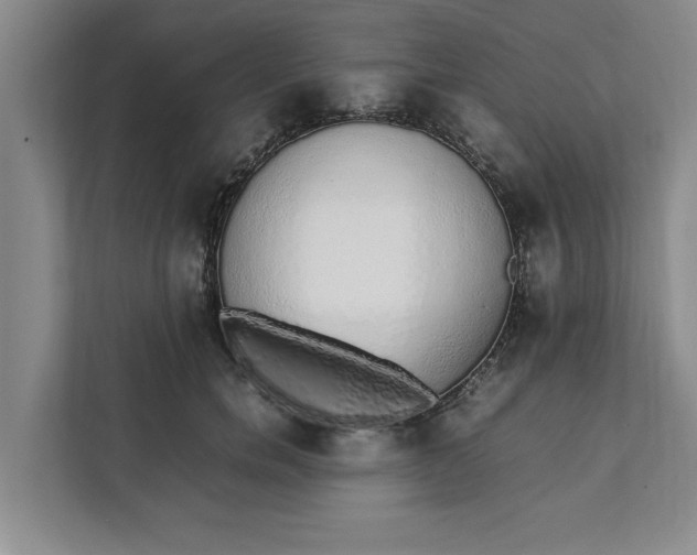 X0000111880750200908061313