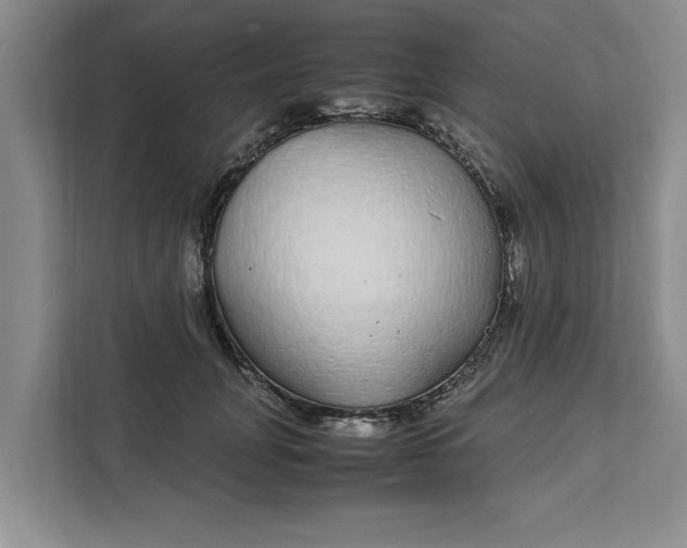 X0000111880751200908061313