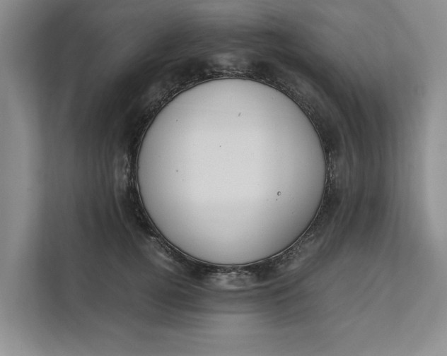 X0000111880752200908061313