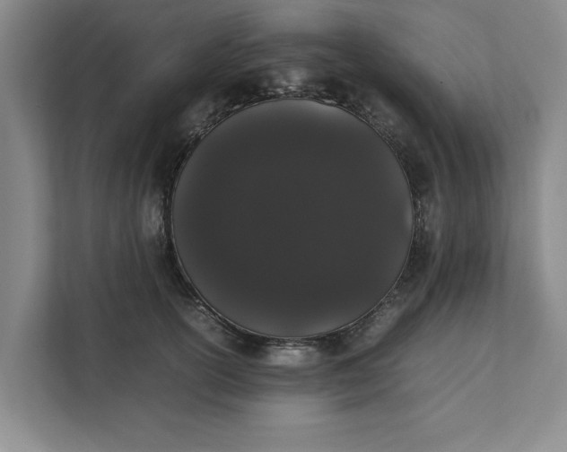 X0000111880754200908061314