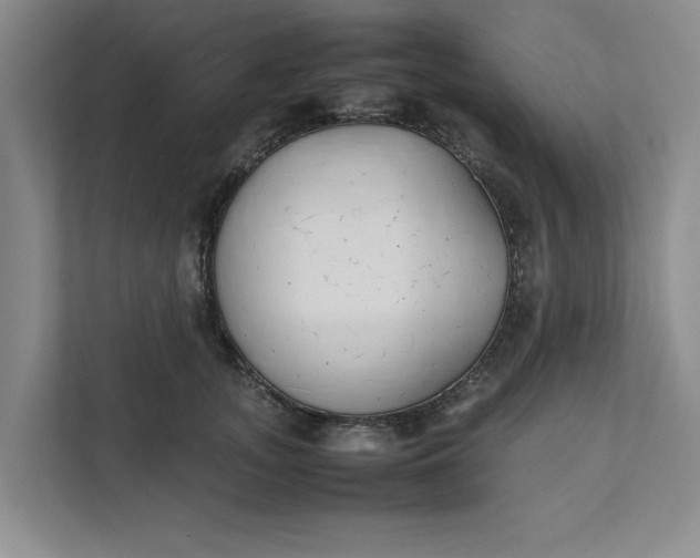 X0000111880755200908061314