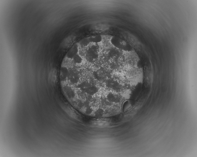 X0000111880758200908061314