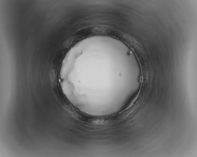 X0000111880759200908061314