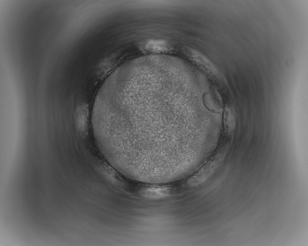 X0000111880760200908061314