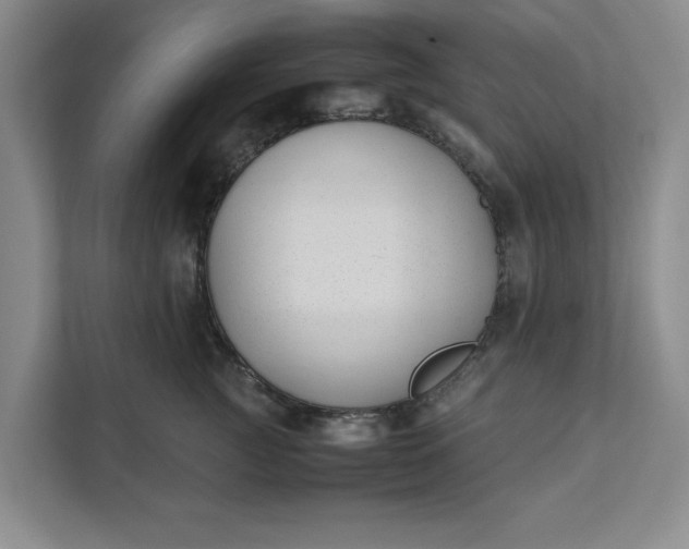 X0000111880761200908061314