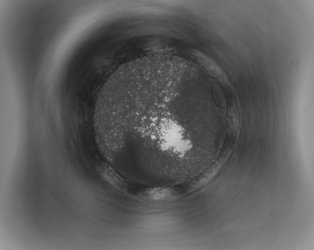 X0000111880762200908061314